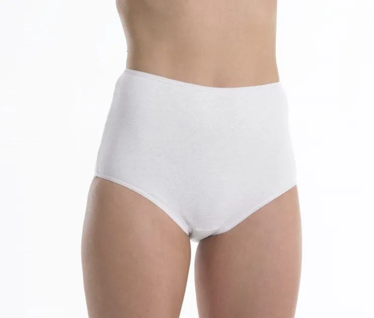 Slenderella Interlock Brief with Coloured Trim BF1